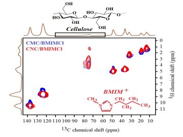 Ionic liquid dynamics and electrical conductivity under confinement within micro and nanocellulose ionogels