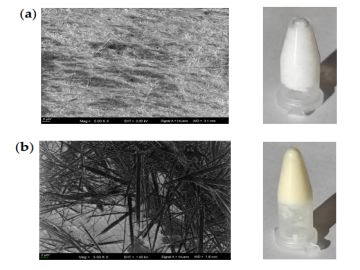 Silver Is Not Equal to Silver: Synthesis and Evaluation of Silver Nanoparticles with Low Biological Activity, and Their Incorporation into C12Alanine-Based Hydrogel